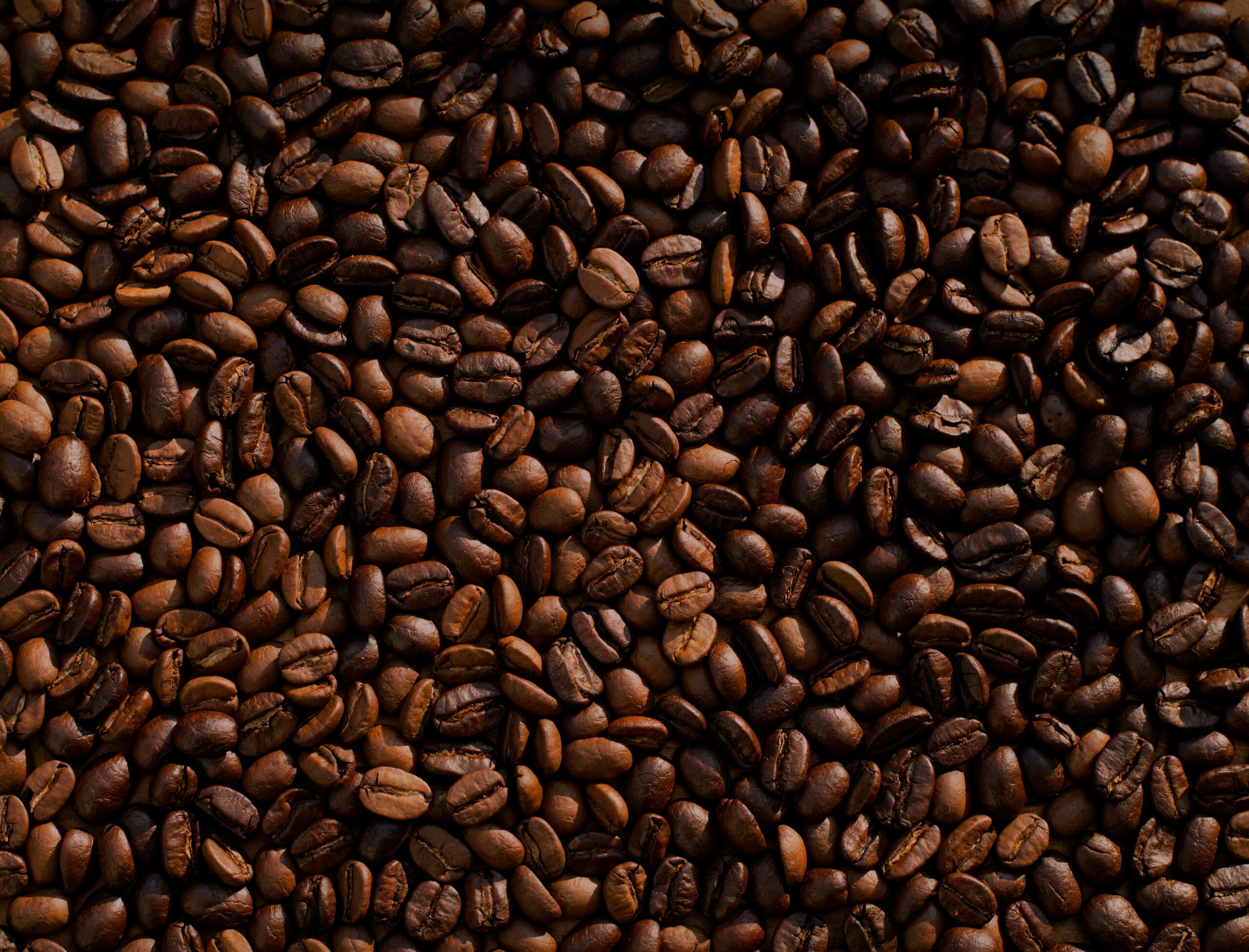 Tarifa de 50% no café brasileiro deve inflar preços nos EUA - Imagem do artigo original